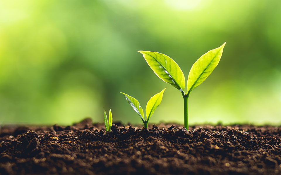 Marcum Wealth Receives Citywire Ria’s ‘50 Growers’ Award for 2021 Marcum Wealth Receives Citywire Ria’s ‘50 Growers’ Award for 2021