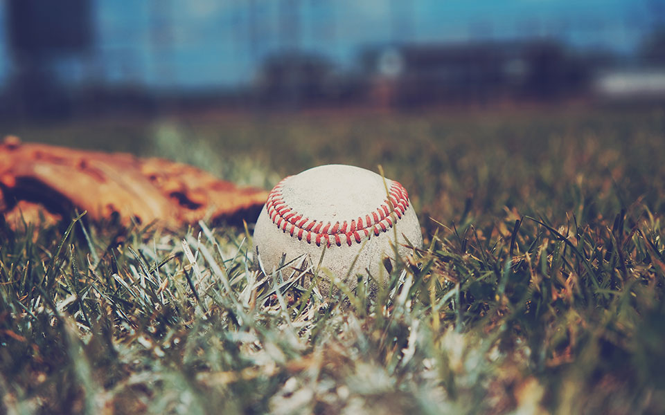 Baseball & Bonds: Playing the Field Baseball & Bonds: Playing the Field
